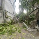 Երևանում քամու հետևանքով շինությունների տանիքների ծածկեր են վնասվել, ծառեր կոտրվել