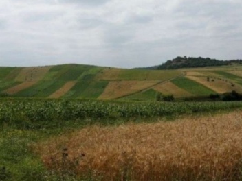 Սահմանվել է պետությանը կամ համայնքին սեփականության իրավունքով պատկանող հողամասերում առկա՝ օրինականացման ենթակա ինքնակամ կառույցների ցանկը